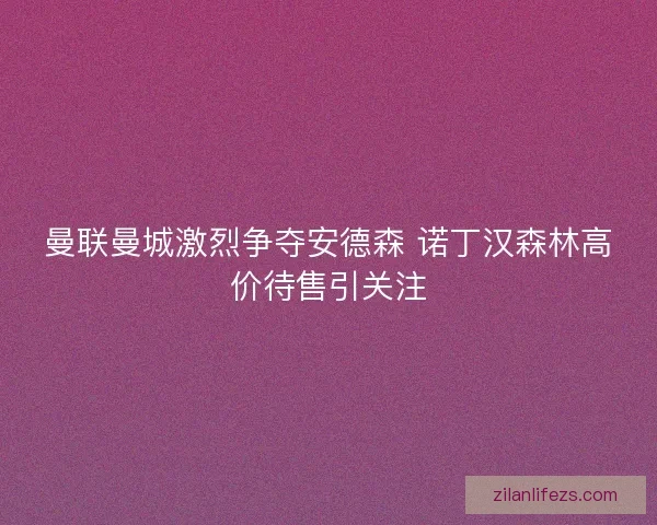 曼联曼城激烈争夺安德森 诺丁汉森林高价待售引关注