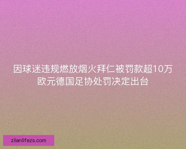 因球迷违规燃放烟火拜仁被罚款超10万欧元德国足协处罚决定出台